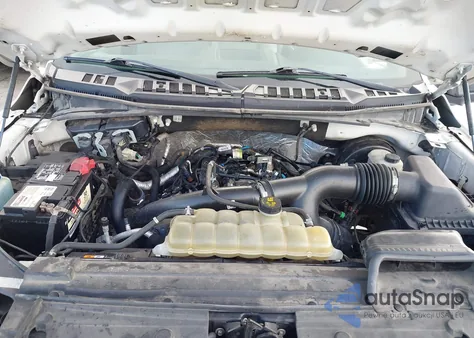 2019 Ford F-150 Xl z USA, uszkodzony, nr VIN 1FTEX1CP5KKE67292